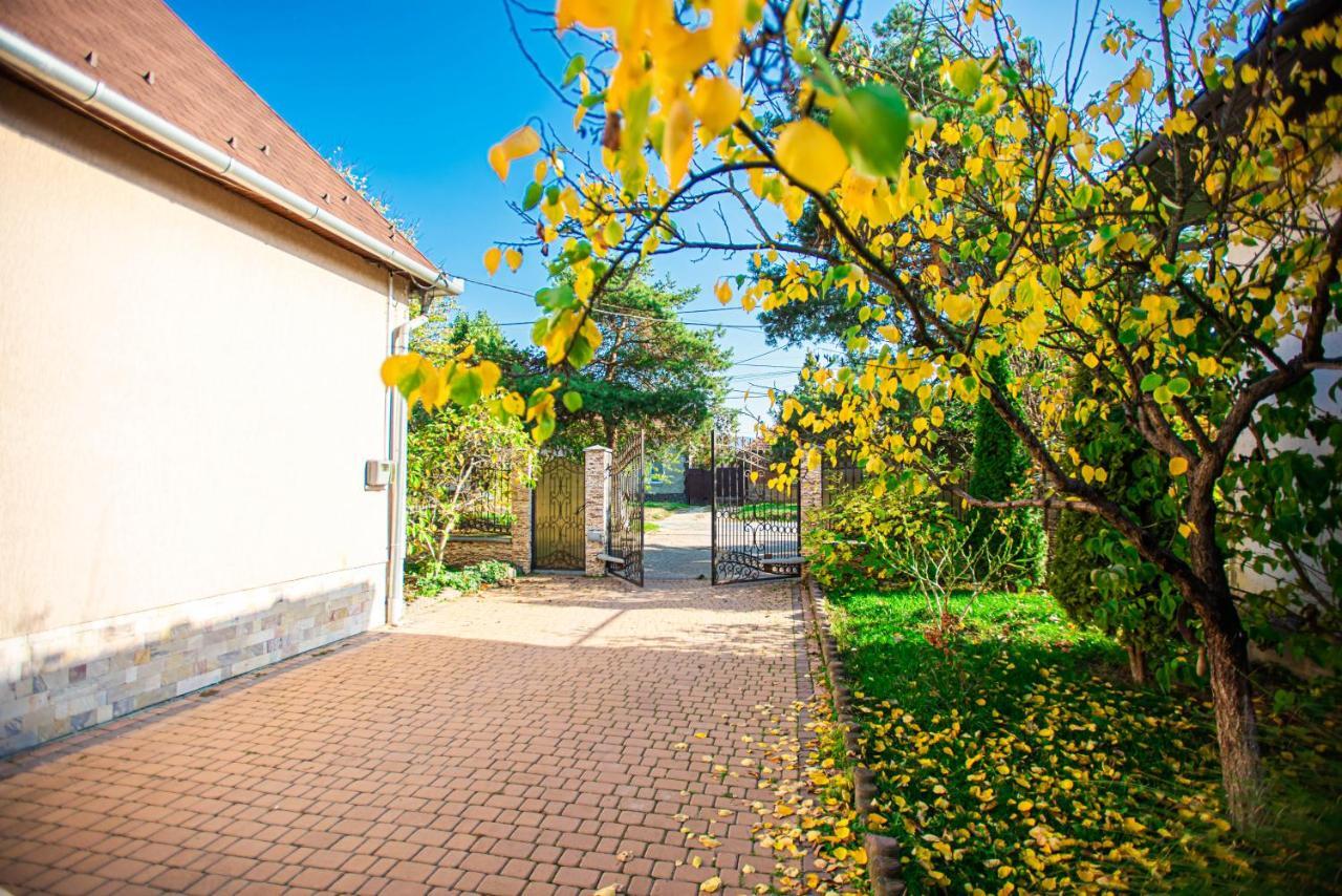 Lizak Appartement Berehove  Buitenkant foto